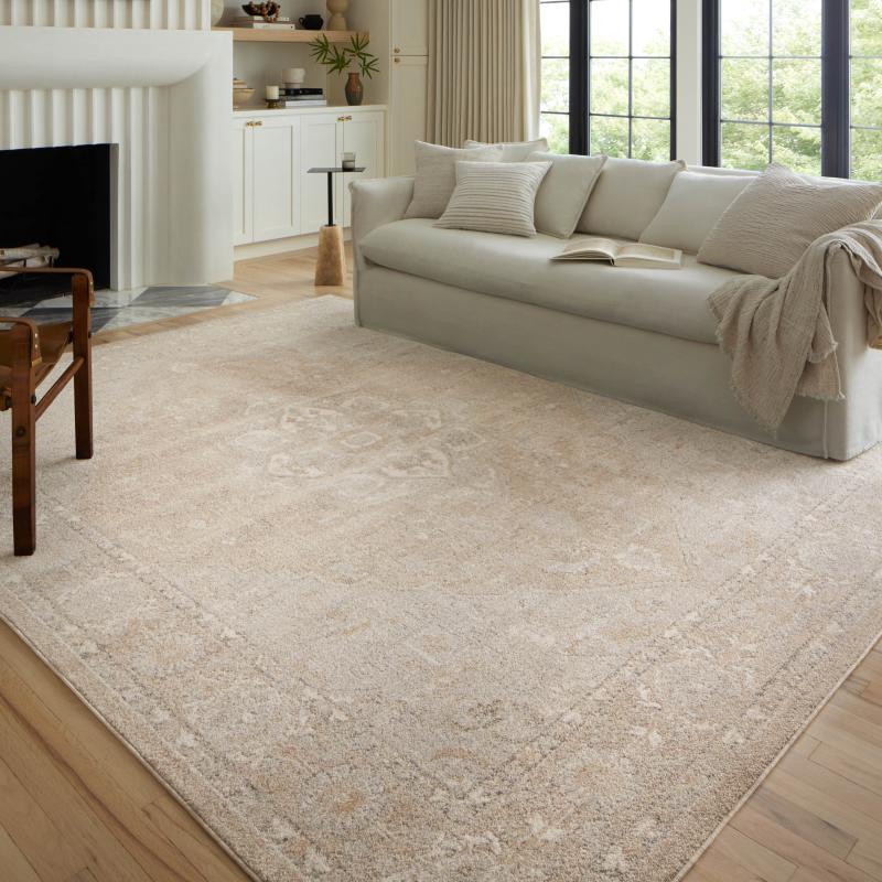 Area Rugs |  Colette Vintage Shabby Chic Area Rug Area Rugs Area Rugs