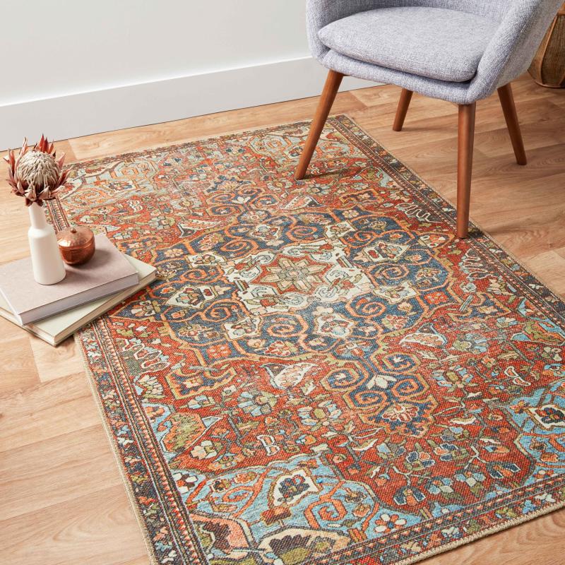 Area Rugs |  Dhanya Medallion Oriental Distressed Area Rug Area Rugs Area Rugs