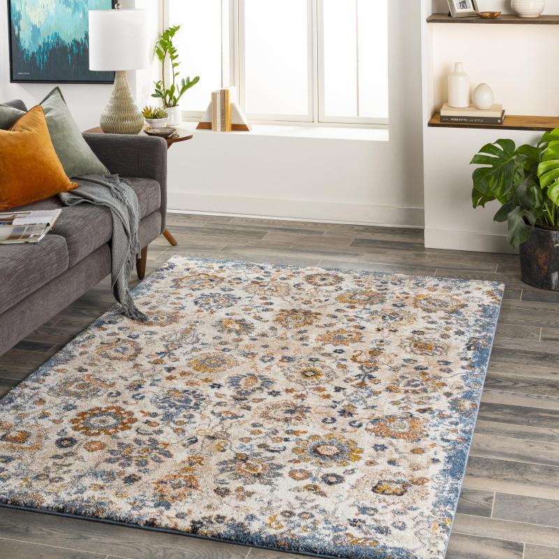 Area Rugs |  Keira Updated Traditional Medallion Area Rug Area Rugs Area Rugs