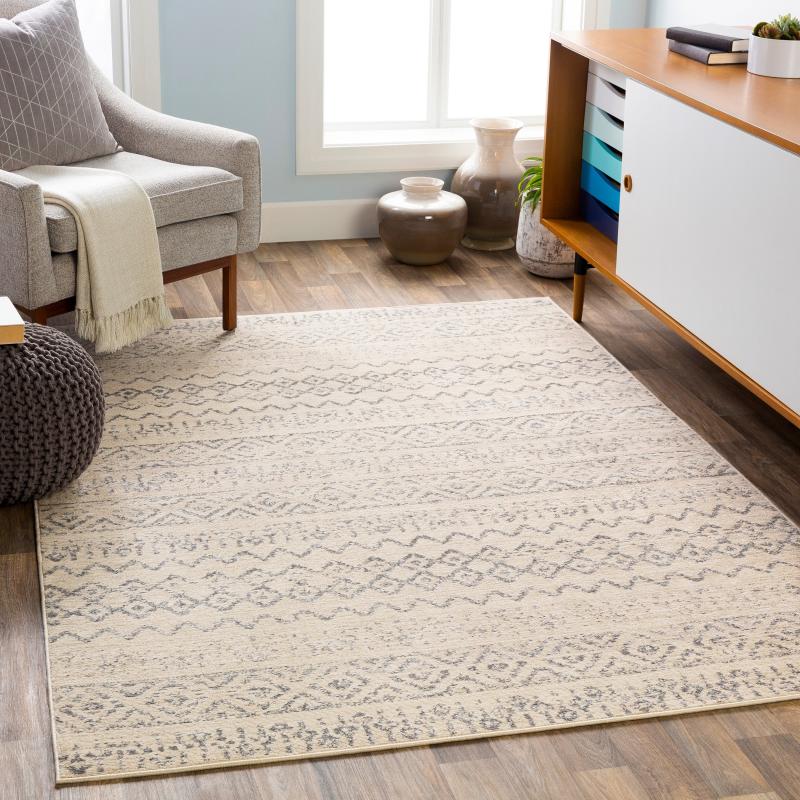 Area Rugs |  Isidore Boho Transitional Area Rug Area Rugs Area Rugs